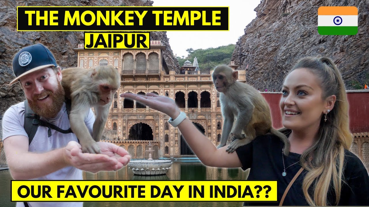 We Explore Jaipur INDIA | We visit Galtaji Temple, Amber Fort & Jal Mahal in One Day!