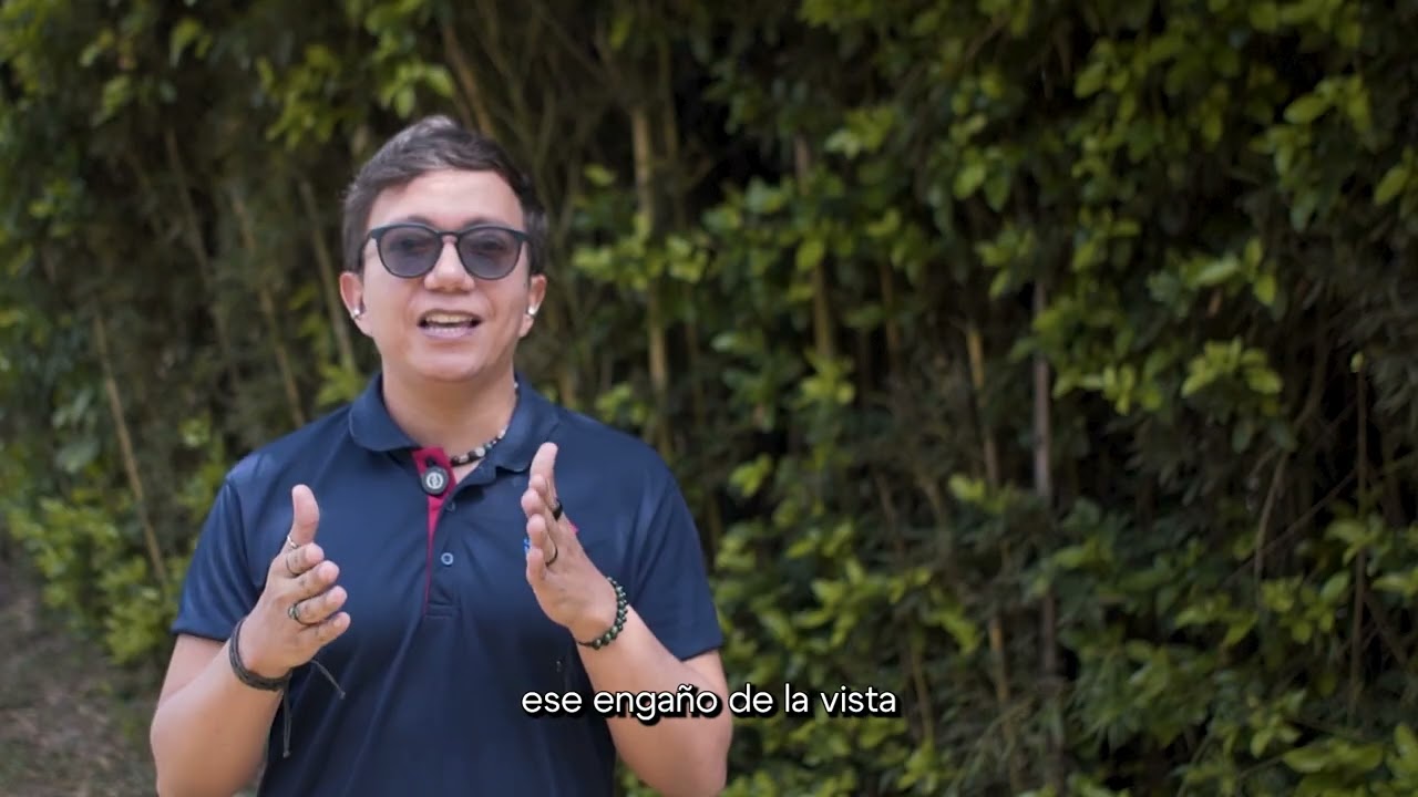 Transformando Ideas en Imágenes: Aula Visoespacial del Liceo Merani en Bachillerato
