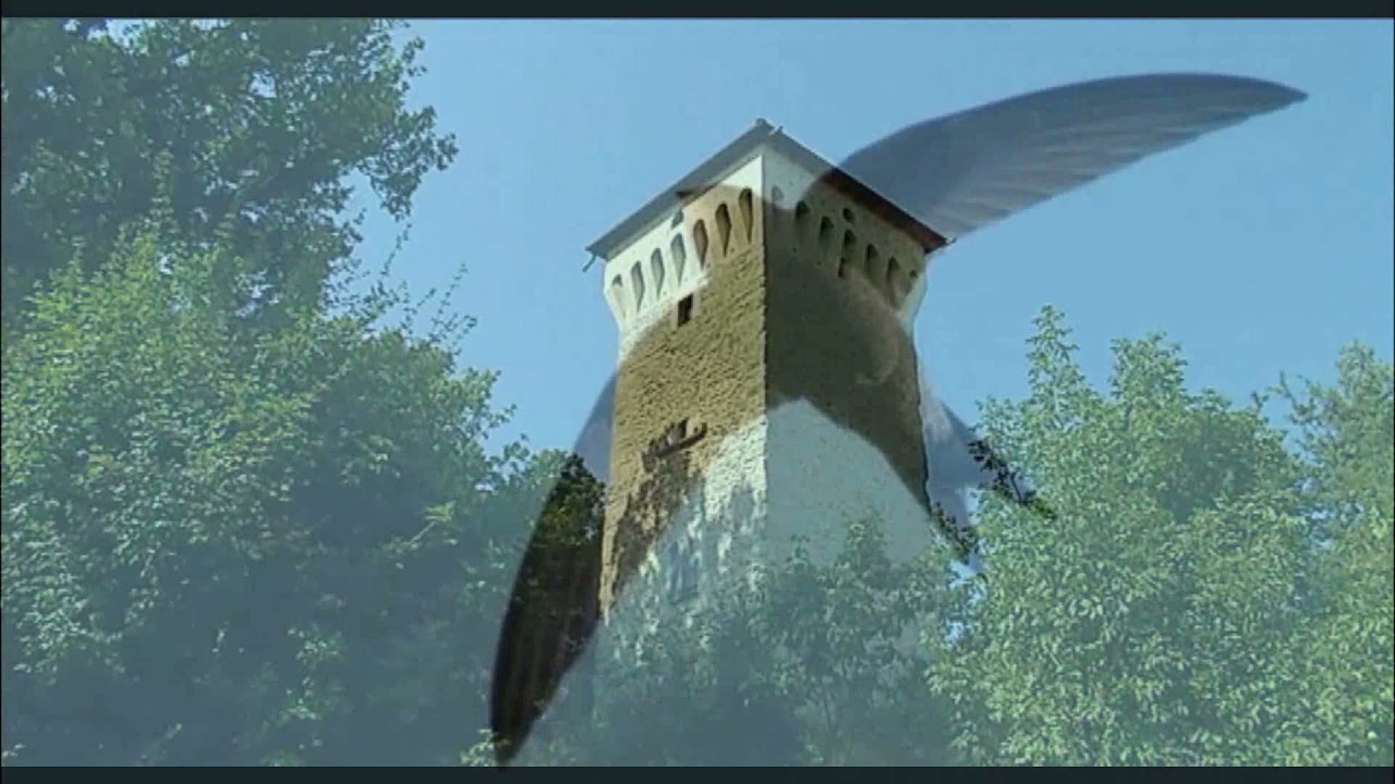 Progetto Rondoni Sassi di Roccamalatina