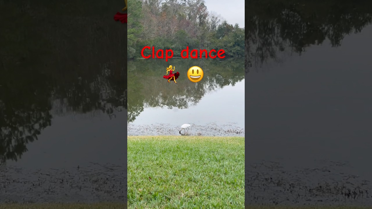 Clap dance 💃 