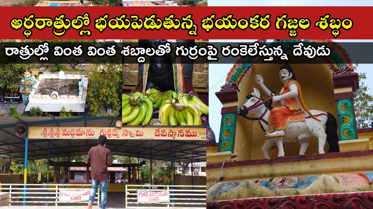 Maddimaanu Gurappa Swami Temple - అర్ధరాత్రుల్లో దేవాలయం చుట్టూ భయంకర గజ్జెల శబ్ధాలు