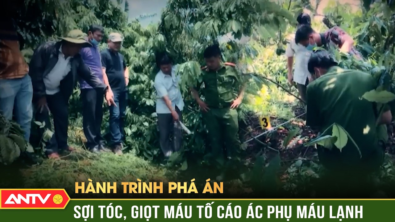 Hành trình phá án: Sợi tóc trên lá cây tố cáo ác phụ đa nhân cách sát hại 3 bà cháu | ANTV