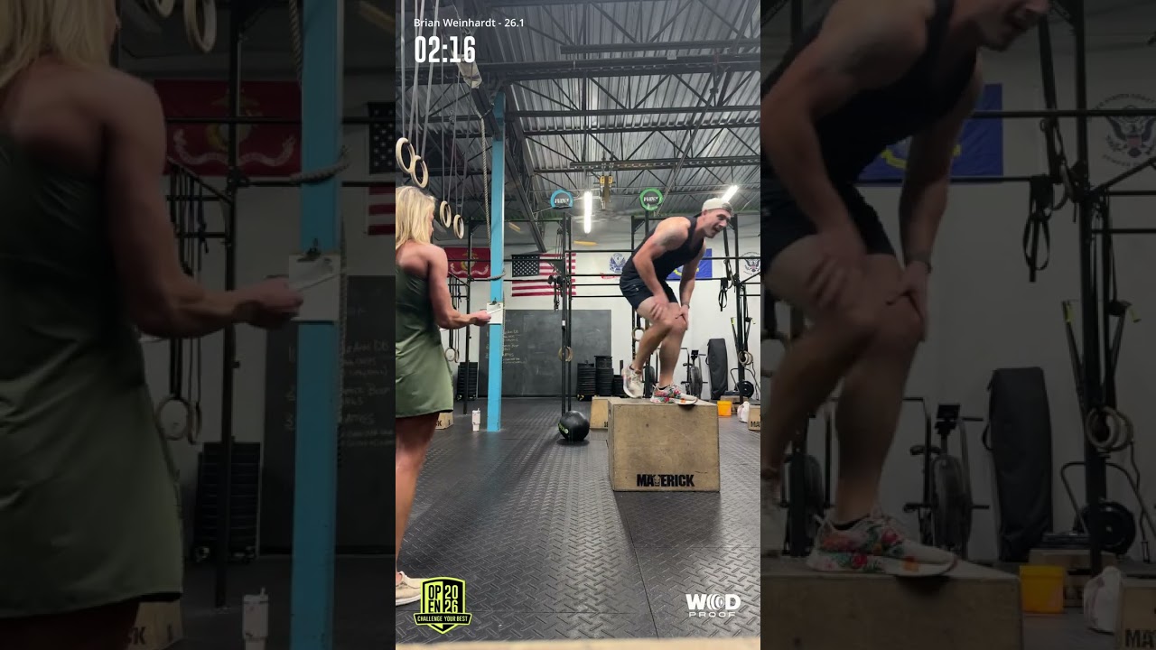 26.1