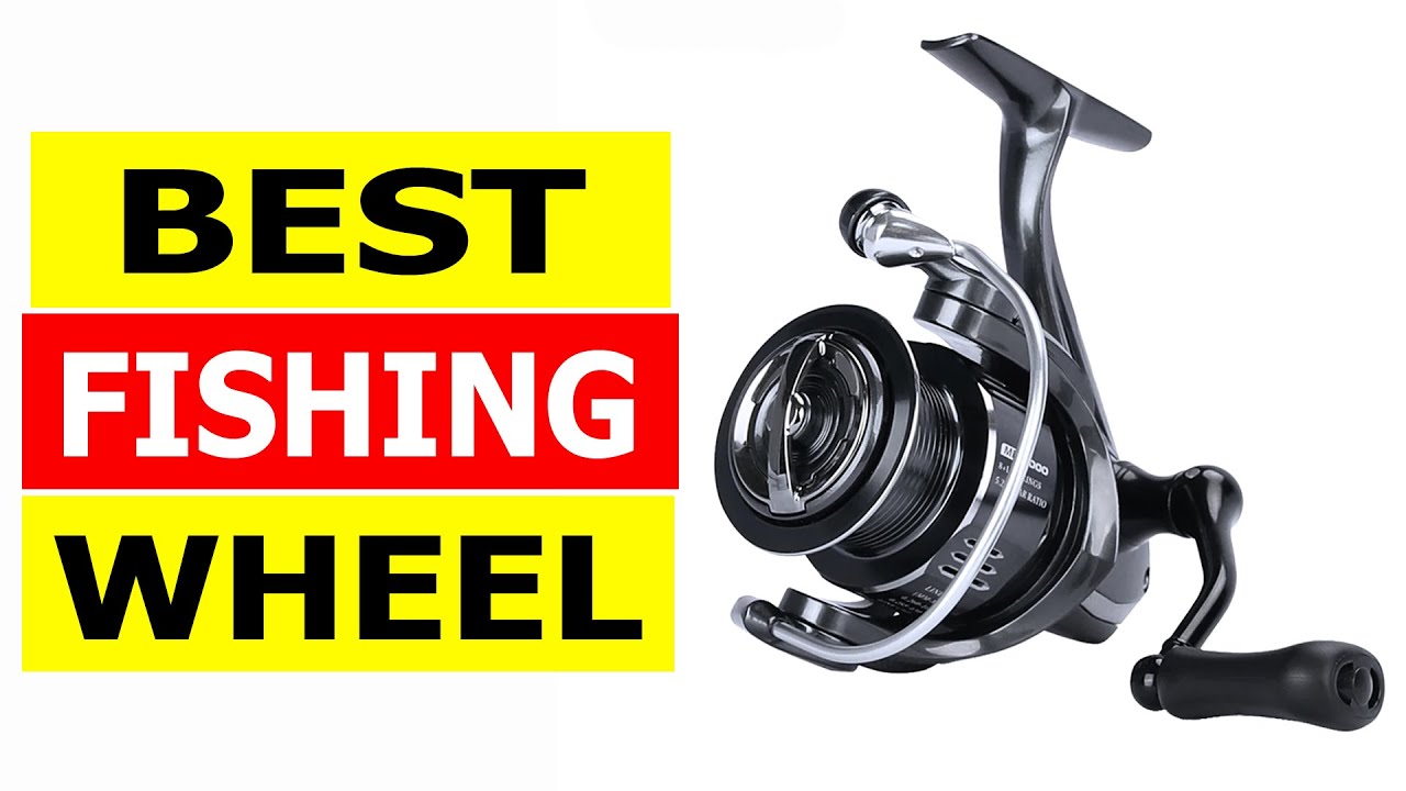 Top 5 Best Fishing Wheel 2026
