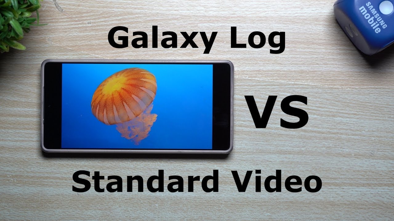 Samsung's Galaxy Log Video VS Regular Video Recording - Differences, Examples & Tips