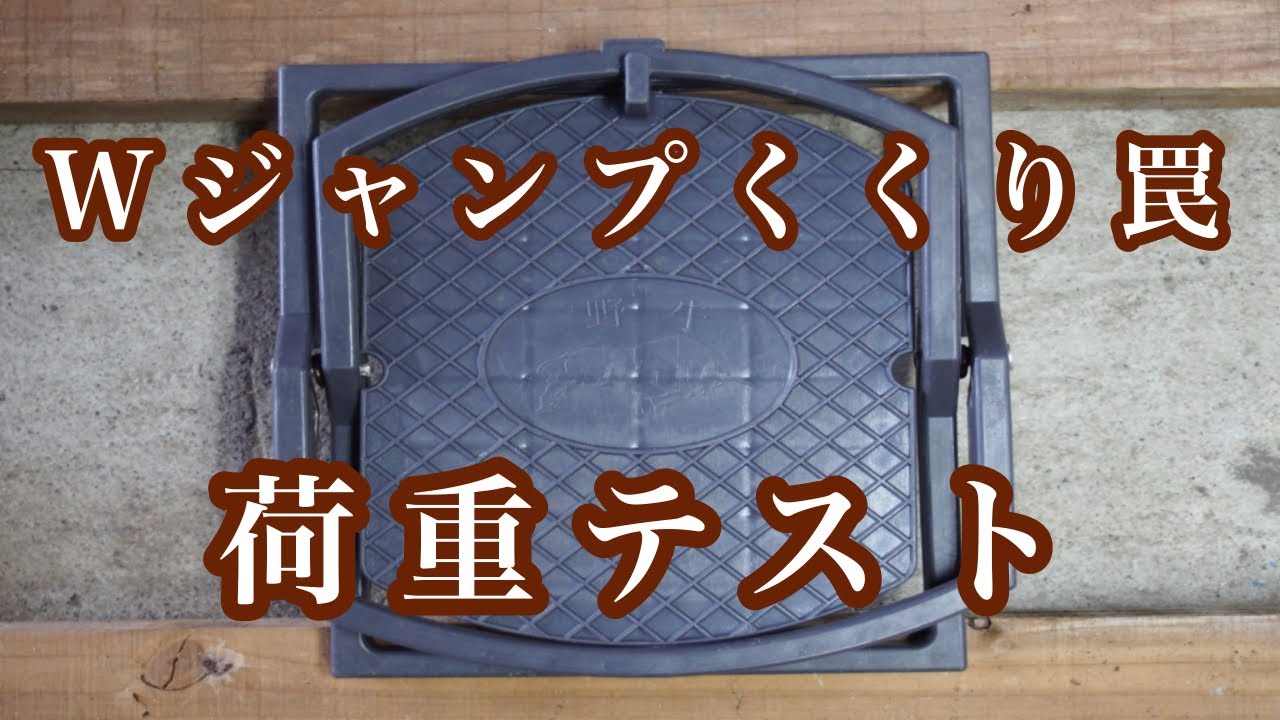 Wジャンプくくり罠の荷重テスト　イノシシ 野豬　멧돼지
