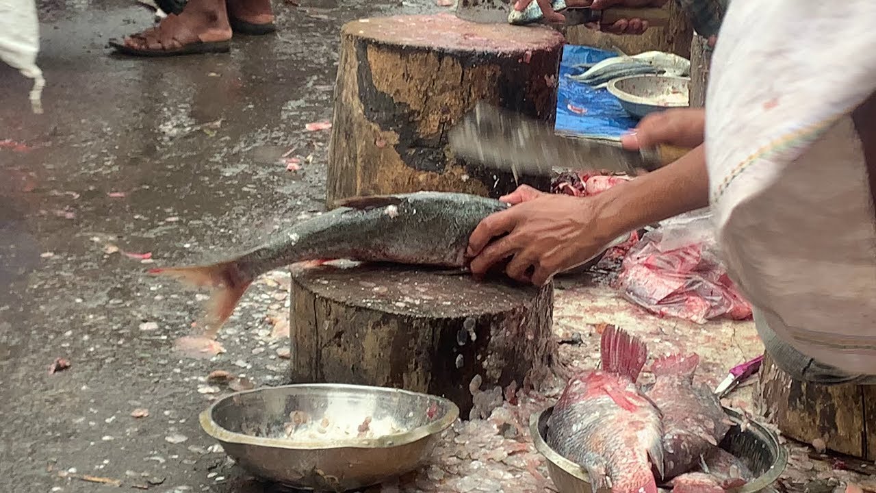 Unique Big Mrigal carp Fish Cutting & Chopp Skill In Fish Market | Fish Cutting/Cleaning Skills
