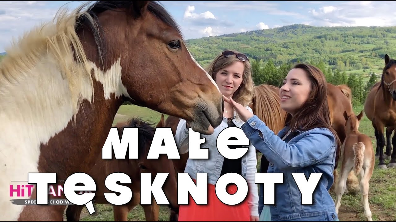 HiT SANOK - Małe tęsknoty NOWOŚĆ 2019