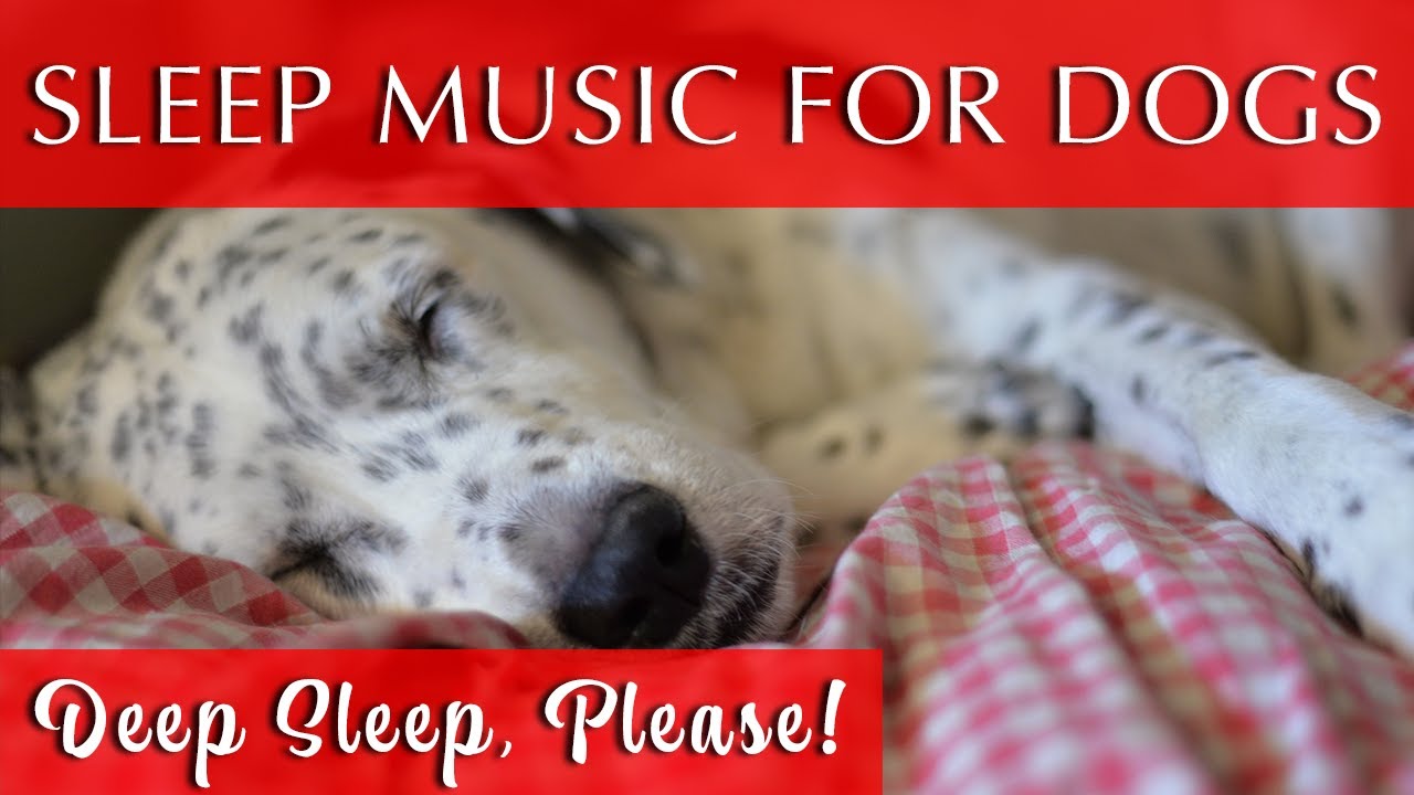 Deep Sleep Relaxing Dog Music 10 Hours | Peaceful Sleep Music