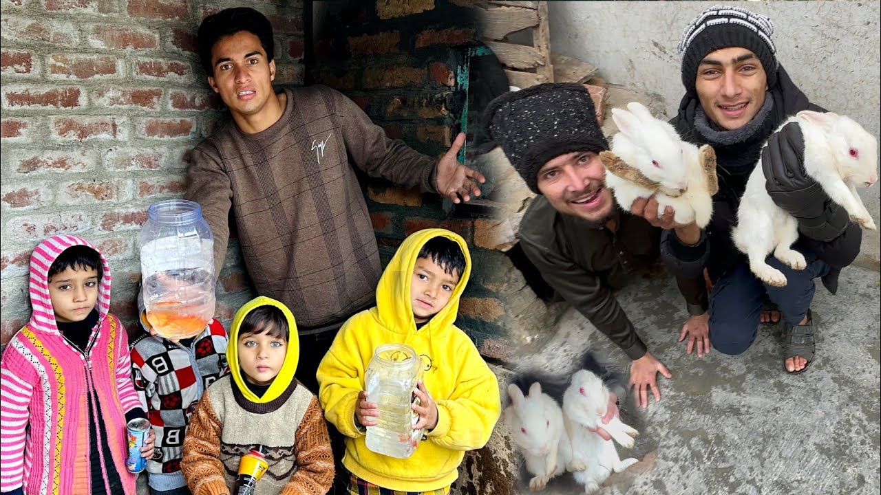 Aj Fish Marna sa bacha Le  Or New Rabbits 🐇