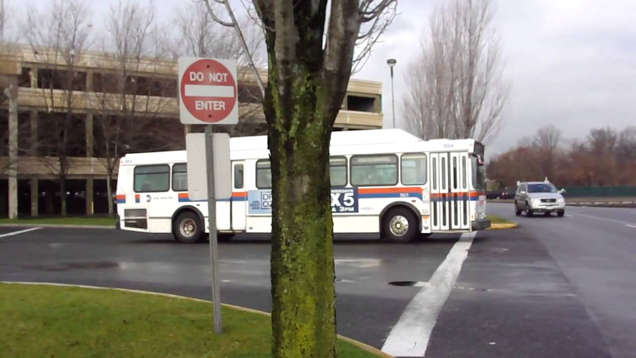 MTA Long Island Bus : Roosevelt Field Mall [ N15, N16, N22, N24, N27, N35, N43, N51, N78 & N79 ]