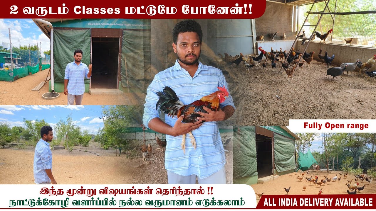 M.com - நாட்டுக்கோழி வளர்ப்பு| உண்மையில் லாபகரமான தொழிலா?? | தற்போதைய நிலவரம்| #siruvidai