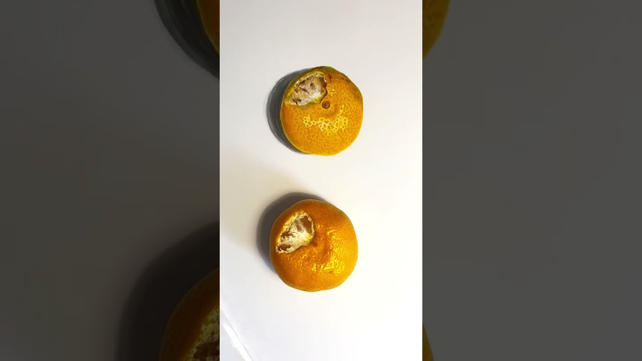 Hyper-Realistic Fruit Drawing | Satisfying Art Tutorial Short#realistic drawing#hyperrealism