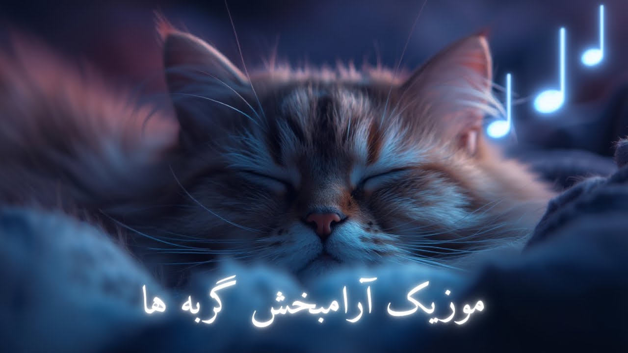 موزیک آرامبخش مخصوص گربه‌ها|music for cats 🎶