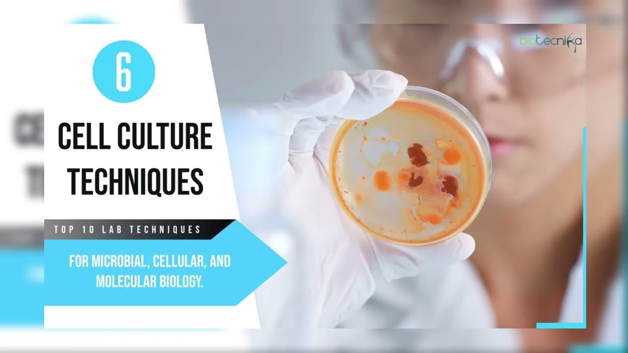 Major Lab Techniques for Life Science Researchers