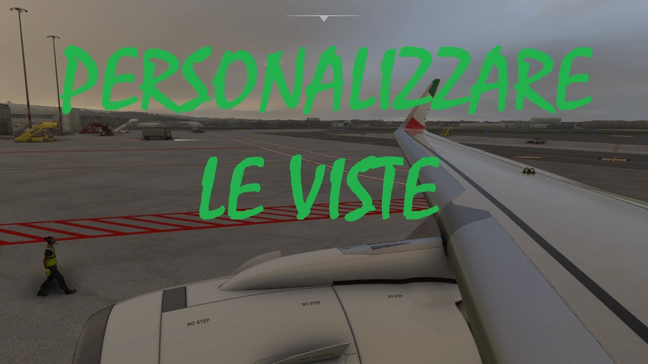 MSFS: Personalizzare le visuali di cabina.
