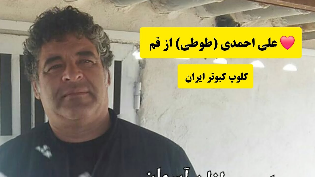 ❤️۲۰ آذر ۹۷  مصاحبه با  آقای علی احمدی (طوطی) از قم iranian high flyer pigeon