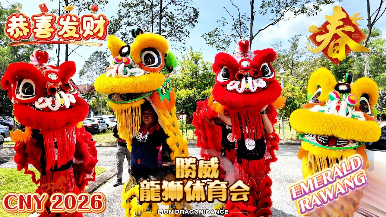 Double Lion Extreme Blessing 双狮采青 | 旺运暴涨