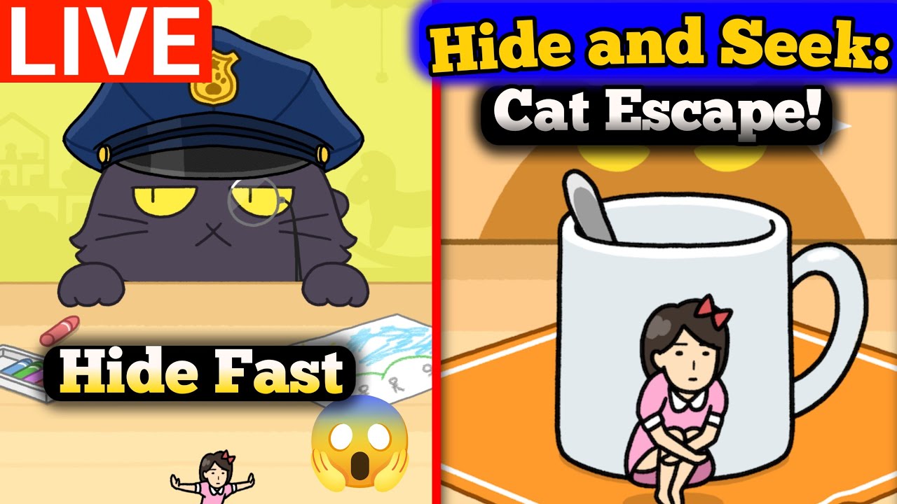 Can The Cat Find Me Today LIVE