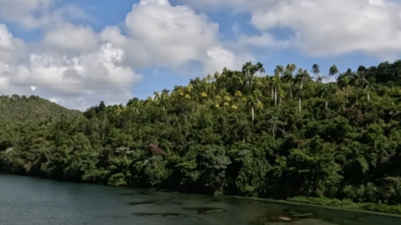 “Del Camino de Montaña al Río Toa: Un Paseo por la Naturaleza Viva del Caribe