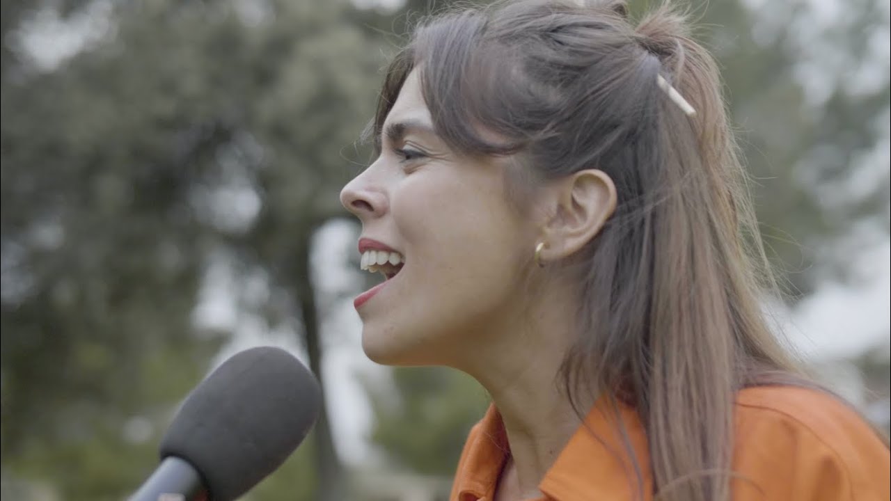 Anna Ferrer - Vitamina Sol (versió d'Antònia Font) - Entusiastes IB3