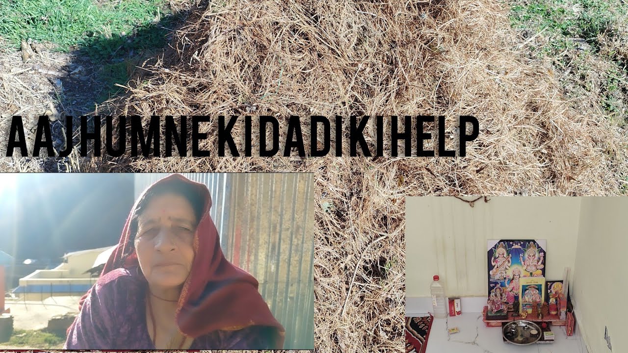 Aaj humne ke dadi ke help