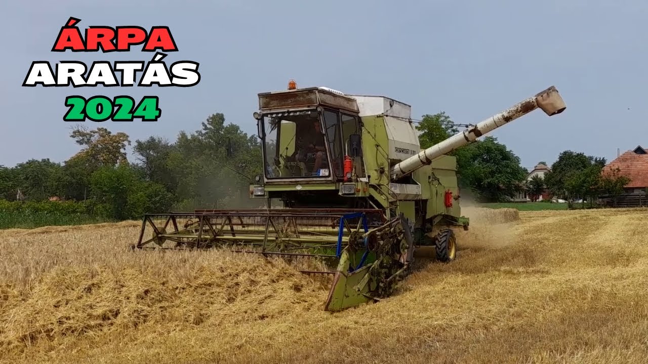 Árpa Aratás 2024 | Fortschritt E514 Árpa Aratás