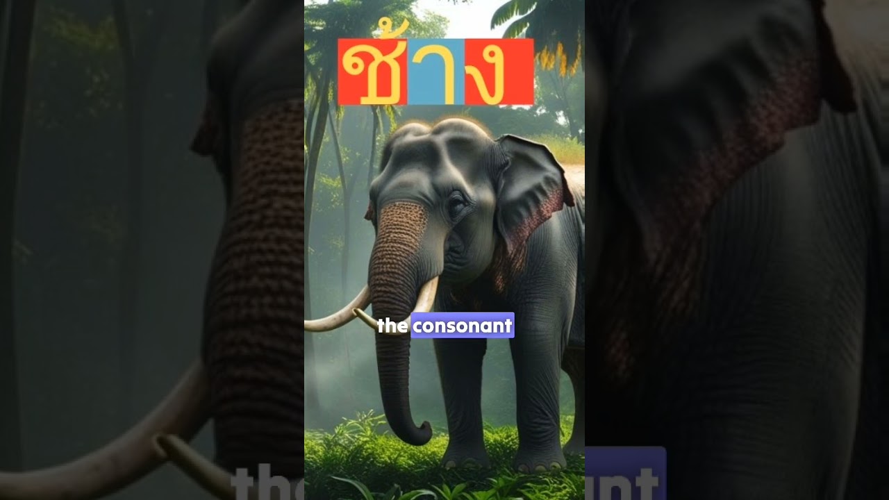 What Is An Abugida  -  The Mystery Behind The Thai Letters