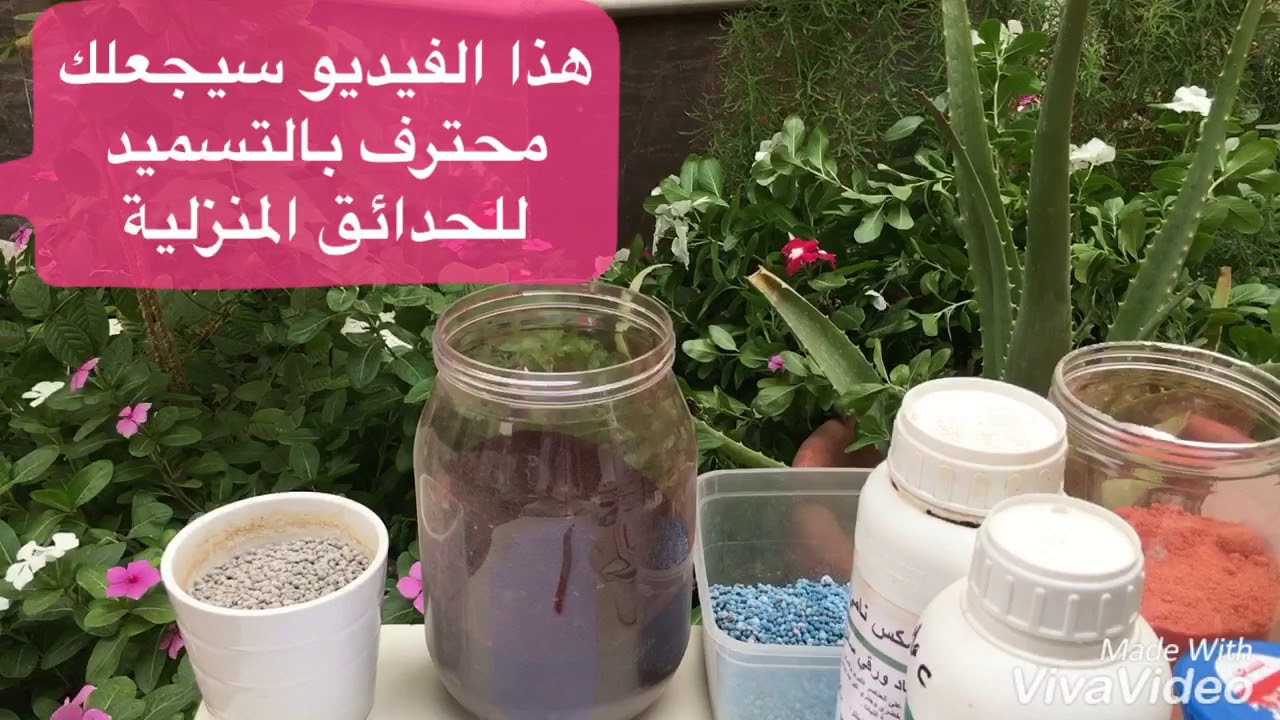 احترف التسميد الكيماوي أو التسميد العضوي في حديقة المنزل والاستراحات والشاليهات  في 4 دقائق فقط