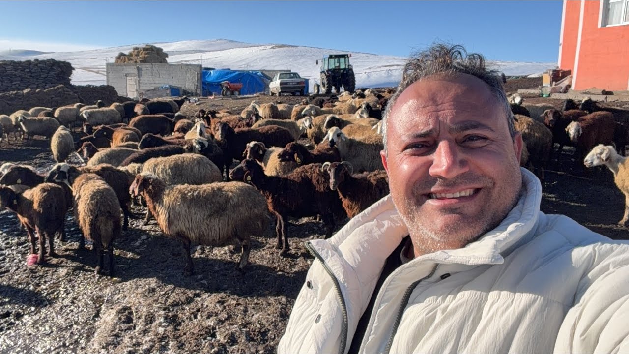Ardahan çıldır yukarıcambaz köyüne misafiriz köyde yaşamın zorluklarına tanık olduk algılar değişti.