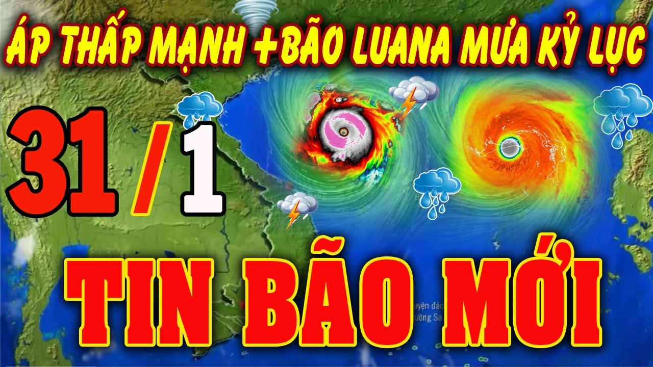 🔴[Trực Tiếp] TIN BÃO MỚI Hướng Về Miền Bắc -Trung bộ ? Dự báo thời tiết hôm nay ngày 31/1