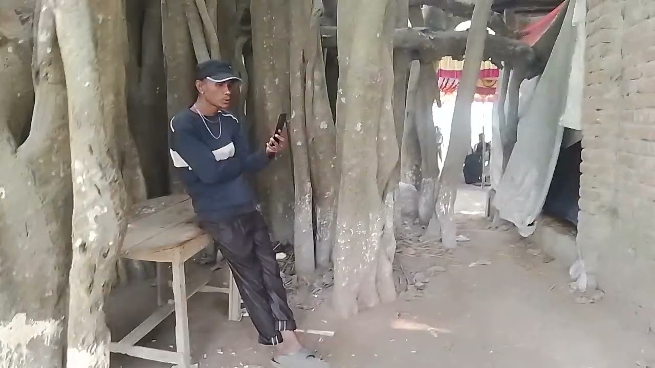 রহস্যময় গাছ সবাই দেখবেন #মনসা_মঙ্গল_গান #সুধান_বেহুলা 