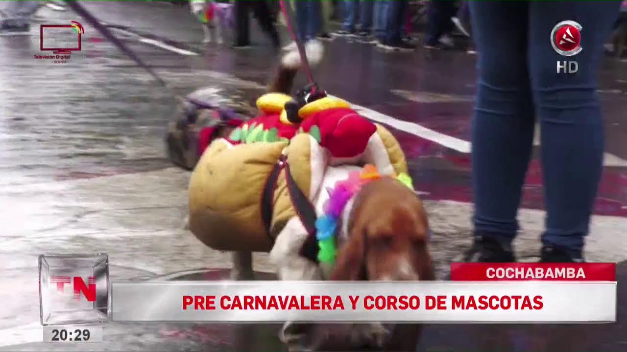 TELE A NOTICIAS CENTRAL CADENA A