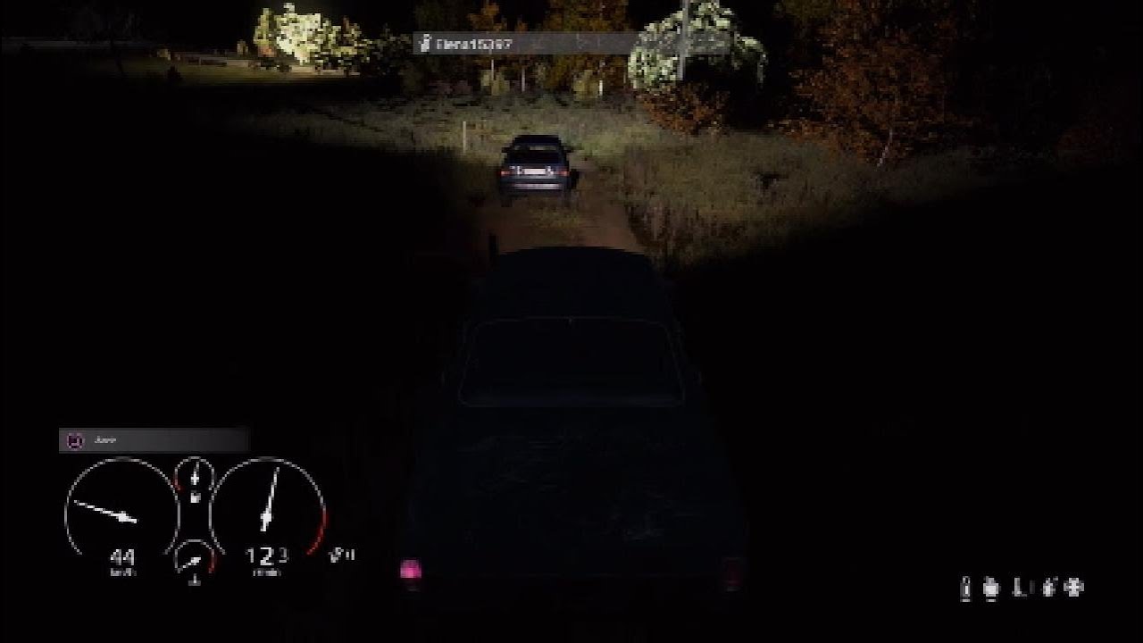 DayZ