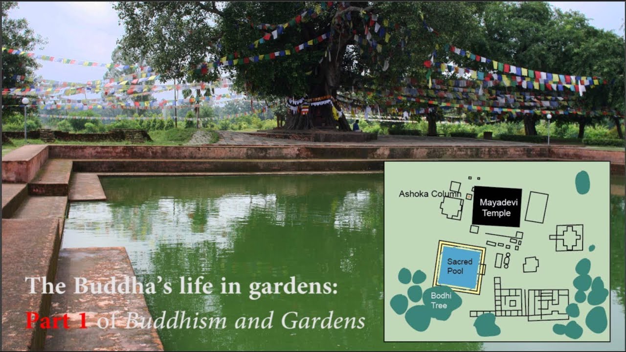 The Buddha's birth in Lumbini Garden: Pt1 of Buddhism and Gardens Videos