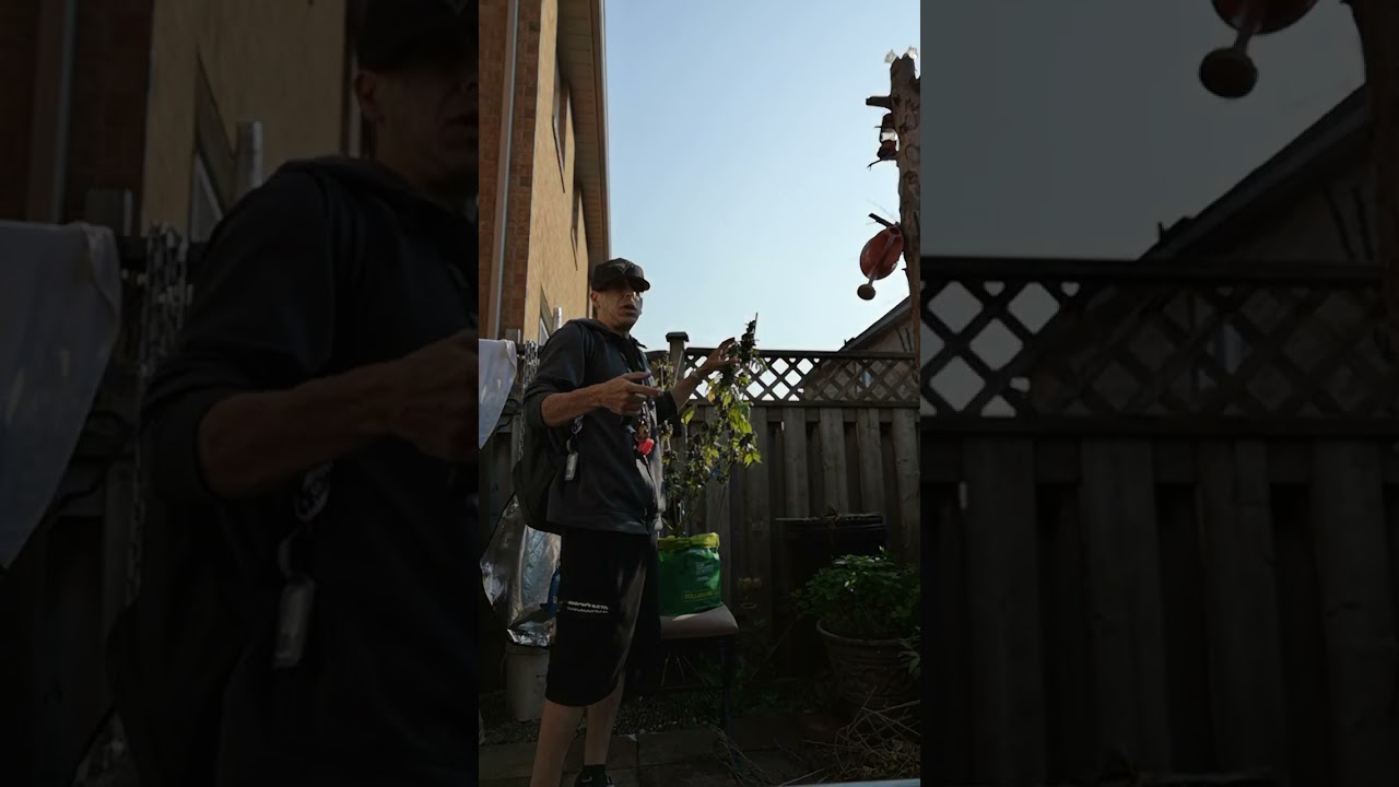 grow log 06.18.23