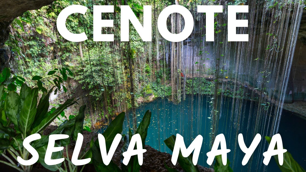 Cenote | jak powstały, czym są - Selva Maya 2021 przewodnik | Visit Mexico #3