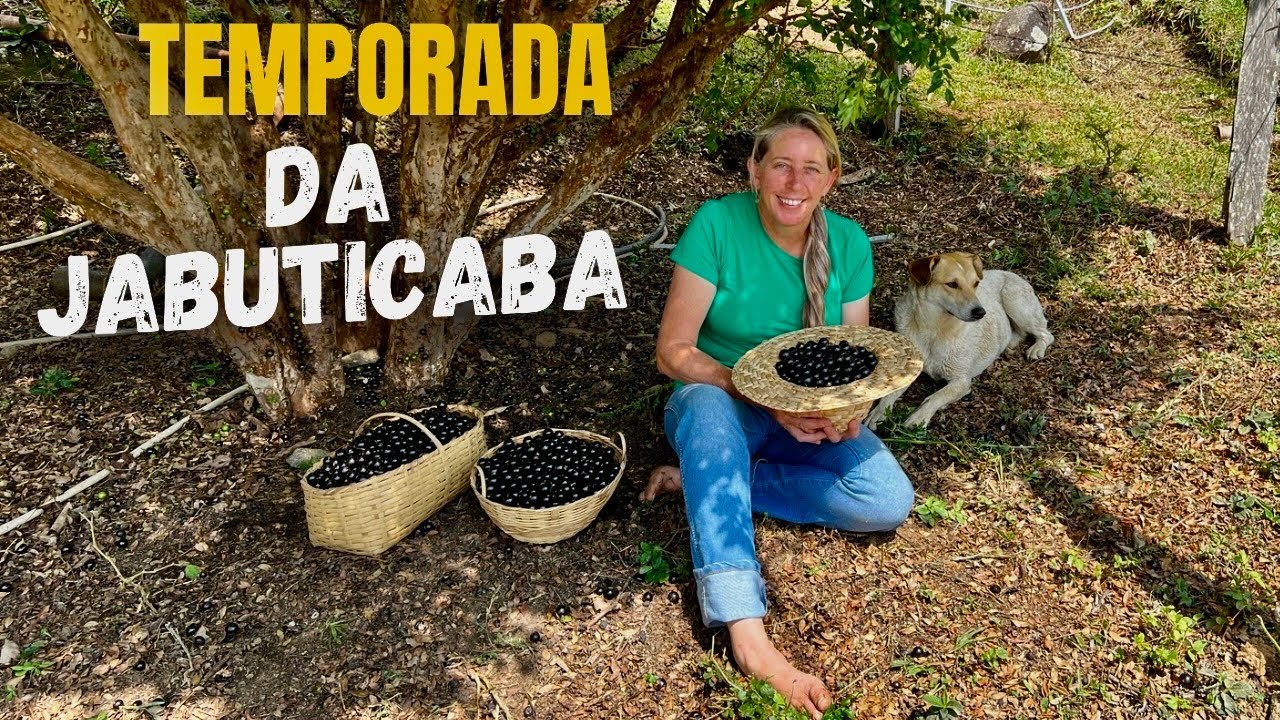 GELEIA E XAROPE DE JABUTICABA - EXPLOSÃO DE SABORES - RECEITAS FÁCEIS
