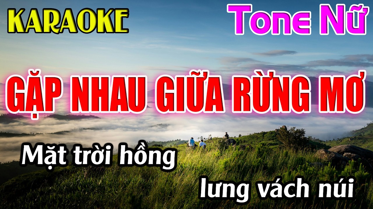 Gặp Nhau Giữa Rừng Mơ Karaoke Tone Nữ ( C#m ) Karaoke Dễ Hát - Beat Mới