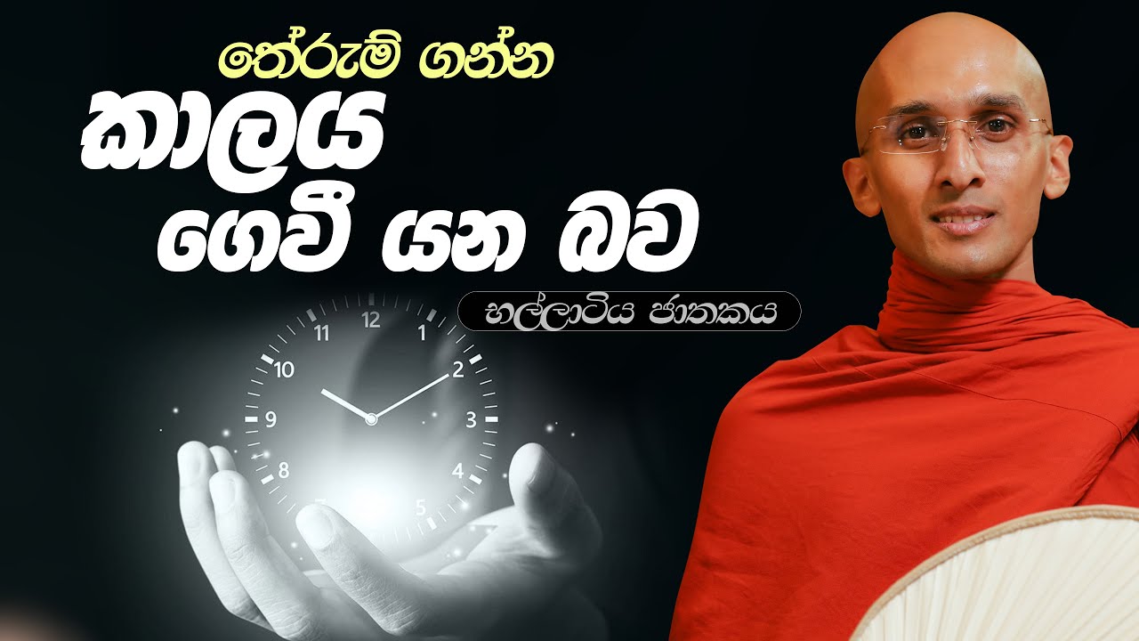 278. තේරුම් ගන්න කාලය ගෙවී යන බව | භල්ලාටිය ජාතකය | 2024-03-03
