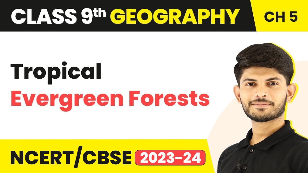 Class 9 Geography Chapter 5 |Tropical Evergreen Forests -Natural Vegetation And Wildlife