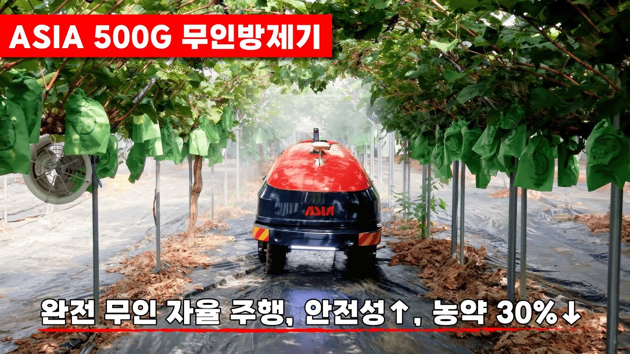 억대 농부의 샤인머스켓 재배기술은? 아세아텍 ASIA 500G 무인 SS기