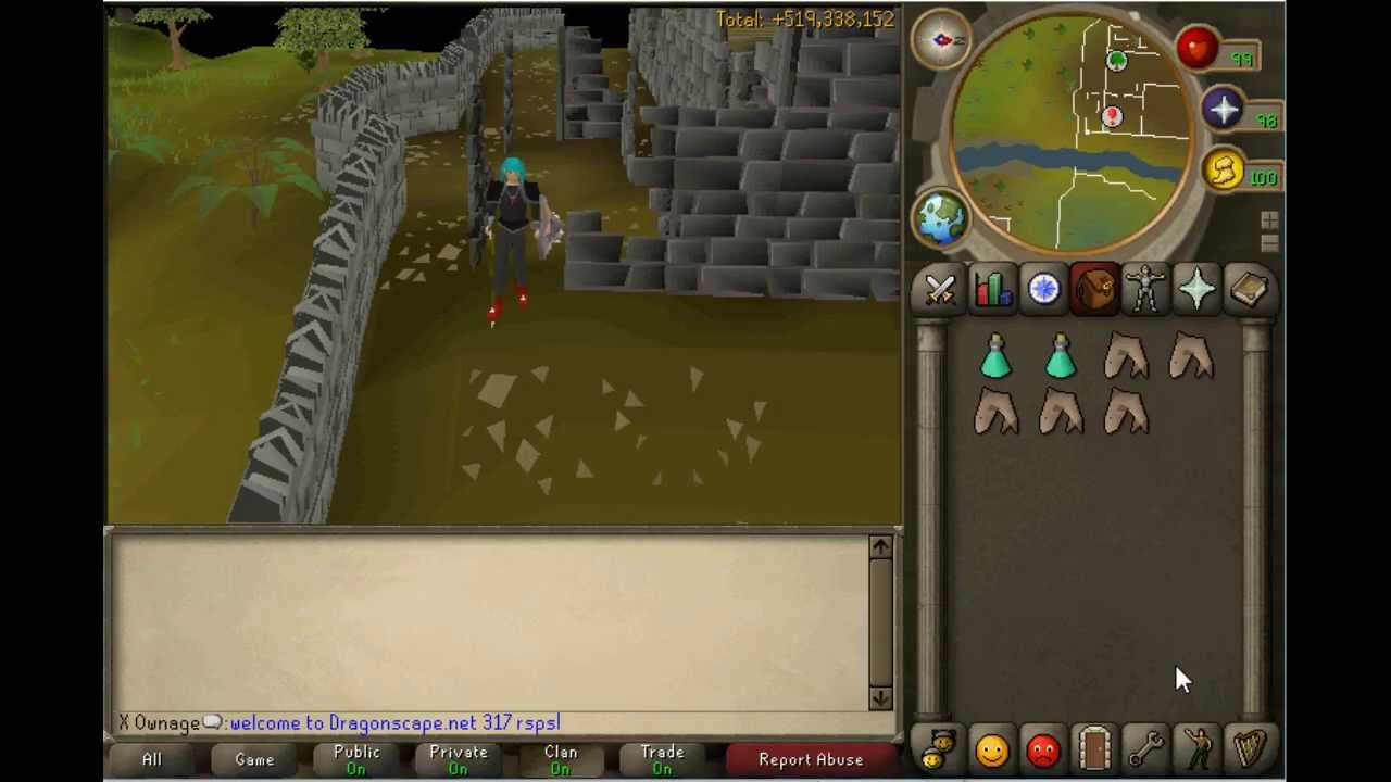 RSPS [ Dragon-scape ~ 317 ]