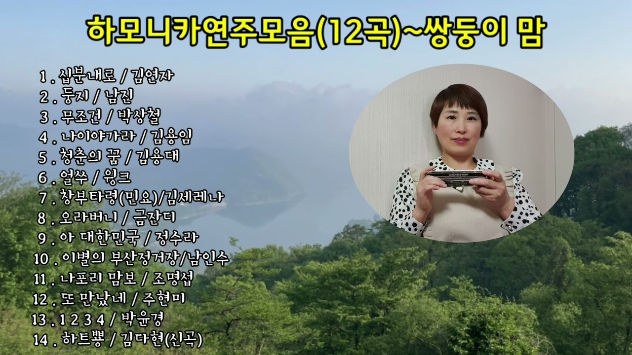 신나고 경쾌한 하모니카연주모음곡(14)~잠시 들려서 쉬였다 충전하고 가셔요 ㅎㅎ #쌍둥이맘#쌍둥이엄마
