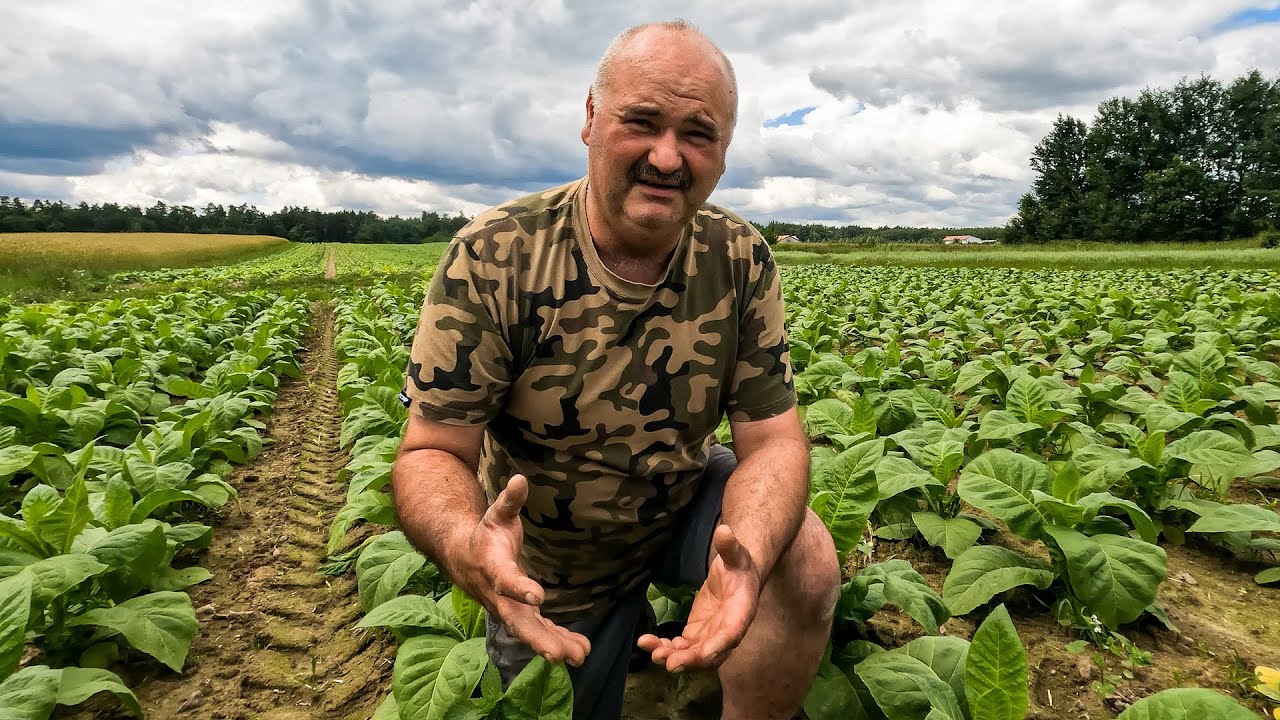 TYTOŃ ROŚNIE JAK SZALONY! 🌱🌿