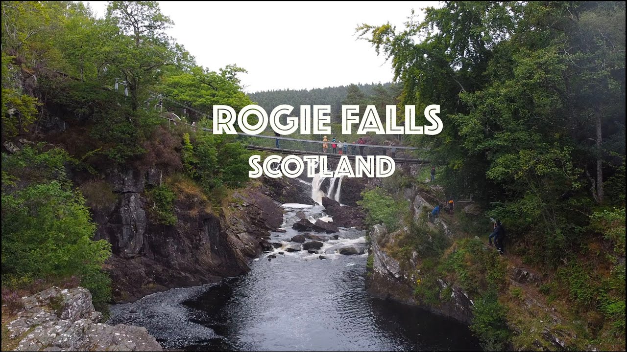 Scotland's Hidden Gem 🏴󠁧󠁢󠁳󠁣󠁴󠁿 Rogie Falls Adventure || ছোট জায়গায় অনন্য সুন্দর ঝর্না।