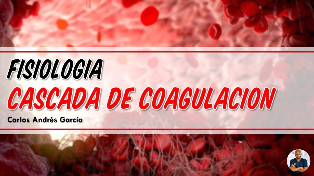 Fisiología - Hemostasia (Espasmo, Tapón Plaquetario, Cascada de Coagulación)