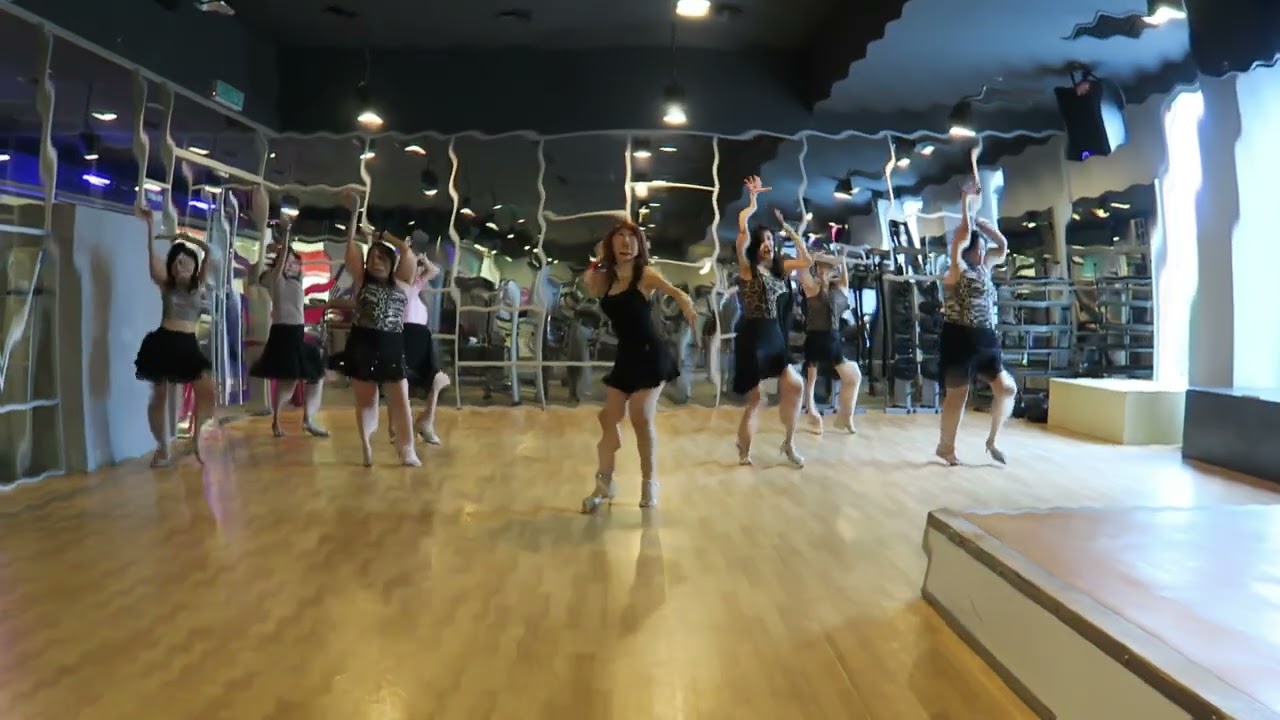 This Is My Life  Line Dance  - CF -  Rimau