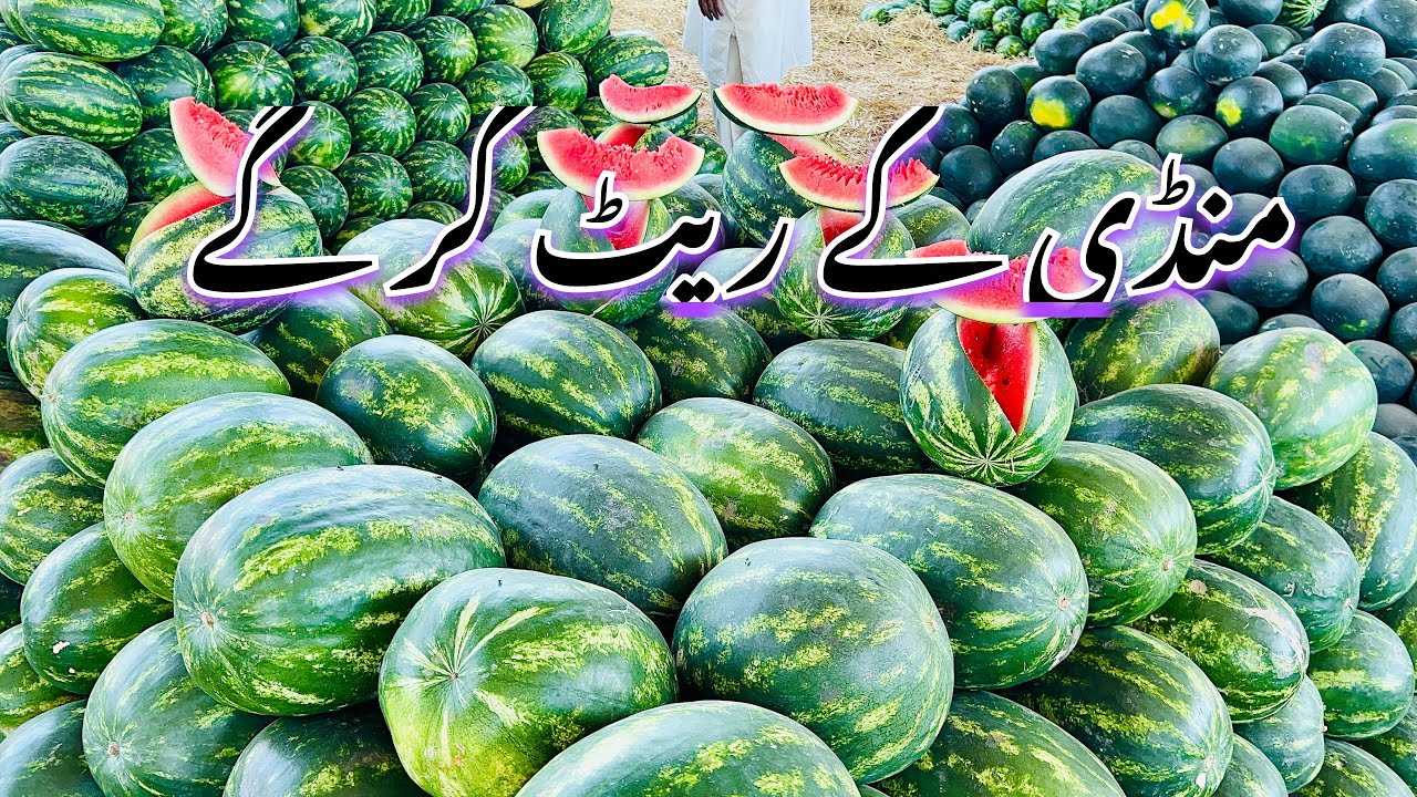 Karachi Sabzi Mandi 4 Mar  2026 rates today| Karachi Fruit Mandi rates todayKarachi 