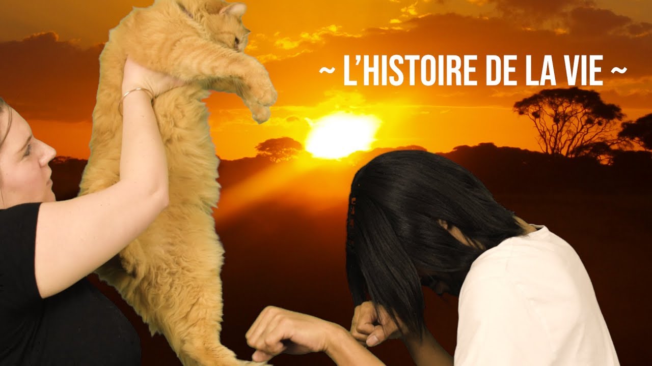 [CHANSIGNE #48] L'histoire de la vie - Le Roi Lion | LSF
